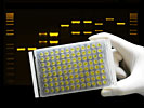 ThermalSeal 2™ Sealing Films for PCR